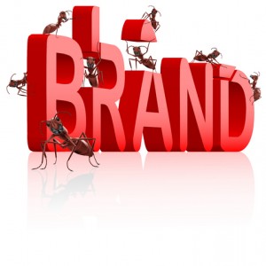 How to Start Building your Brand