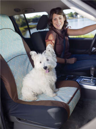 Cars And Trucks Traveling With Pets