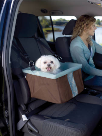Travel Safely With Your Pet