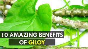 Benefits of Giloy juice