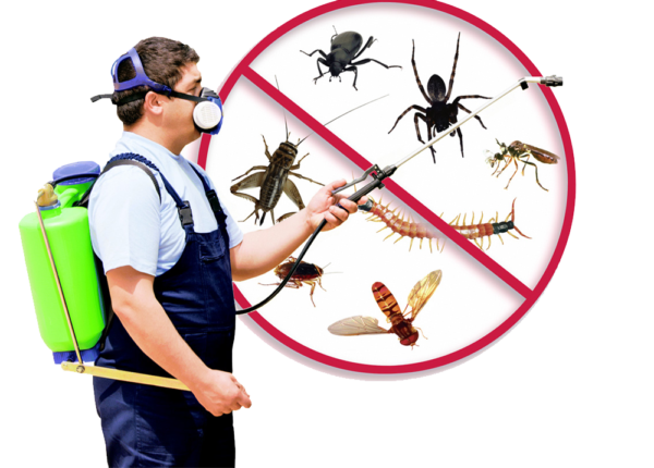 Beneficial Pest Control Reading To Get Rid Of Pests Instantly - uReadThis