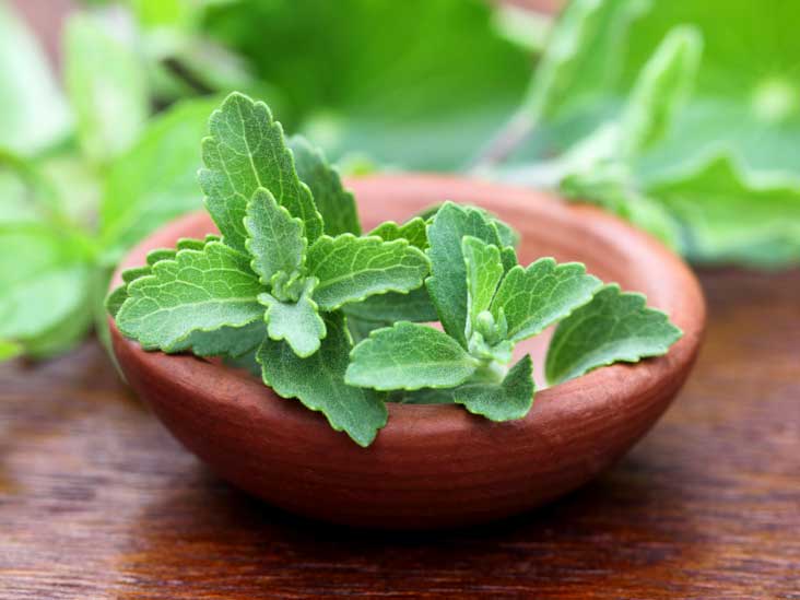 healthy aspects of using Stevia leaves