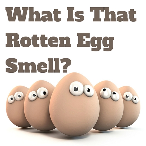 Rotten Egg Smell from Your Water