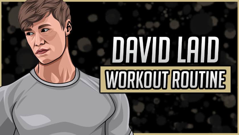 David Laid's Workout Routine & Diet (Updated 2021)