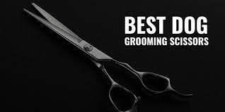 Why you should only use the best grooming scissors on your dog