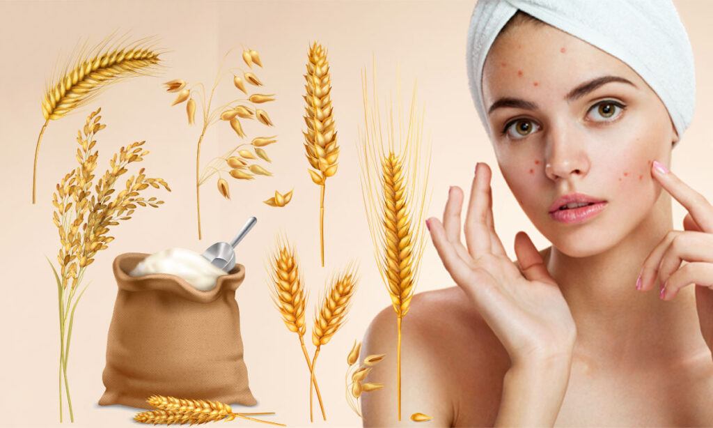 Benefits of wheat flour on Skin, hair and health