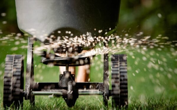 Expert Lawn Fertilization Services